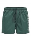 JACK&JONES MAUI - VERDE