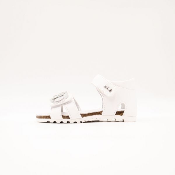 ASSO SANDALO - BIANCO