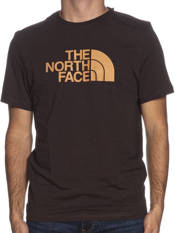 TNF SS EASY TEE - MARRONE
