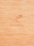ENERGETICS AILO - ARANCIO - 4