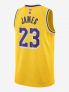 NIKE LA LAKERS - GIALLO - 1
