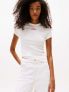 TOMMY H. SLIM SCRIPT - BIANCO - 0