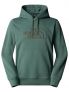 TNF DREW PEAK HOODIE - VERDE - 0