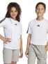 ADIDAS B. T-SHIRT MM - BIANCO - 0