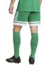 ADIDAS SQUADRA 25 - VERDE - 2