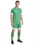 ADIDAS SQUADRA 25 - VERDE - 3