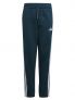 ADIDAS B. PANTA FL - VERDONE - 1