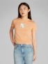 CK FRONT PHOTO GRAPH - ROSA - 0