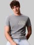 CK 30S E CK NY WRD S - SALVIA - 1
